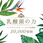 エピエ epier 乳酸菌の力20,000億個