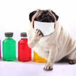 インフルエンザは風邪の一種？【エピエ DNA&腸内フローラ 知識編】