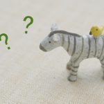 自分の取扱説明書を手に入れる！【エピエ DNA&腸内フローラ 知識編】