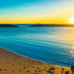 ５月病になっていませんか？【エピエ DNA&腸内フローラ 知識編】